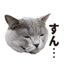 いもこ〜仕事編〜（個別スタンプ：8）