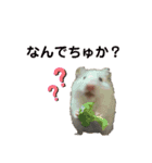ごまくんすたんぷ（個別スタンプ：1）