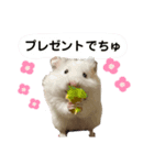 ごまくんすたんぷ（個別スタンプ：2）