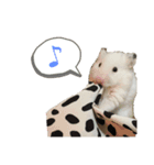 ごまくんすたんぷ（個別スタンプ：3）