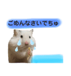 ごまくんすたんぷ（個別スタンプ：5）