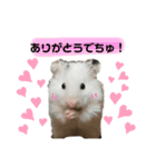 ごまくんすたんぷ（個別スタンプ：7）