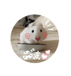 ごまくんすたんぷ（個別スタンプ：8）