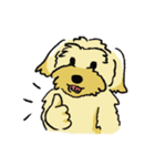 ジャガイモ君家族（個別スタンプ：6）