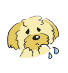 ジャガイモ君家族（個別スタンプ：9）