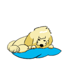 ジャガイモ君家族（個別スタンプ：30）