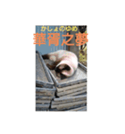 ポンという名の猫（個別スタンプ：20）
