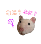 ラットのこてつ君（個別スタンプ：6）