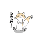 マンチカンネコのマース（個別スタンプ：3）
