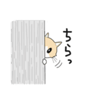 マンチカンネコのマース（個別スタンプ：15）