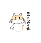 マンチカンネコのマース（個別スタンプ：21）