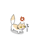 マンチカンネコのマース（個別スタンプ：37）