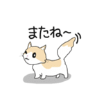 マンチカンネコのマース（個別スタンプ：40）