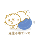 いもにゃん 敬語＆日常会話（個別スタンプ：13）