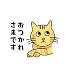 達観したねこ（敬語）（個別スタンプ：1）