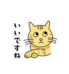 達観したねこ（敬語）（個別スタンプ：2）