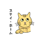 達観したねこ（敬語）（個別スタンプ：3）