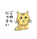 達観したねこ（敬語）（個別スタンプ：5）