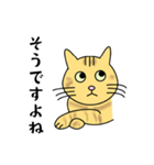 達観したねこ（敬語）（個別スタンプ：6）