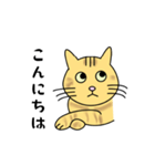 達観したねこ（敬語）（個別スタンプ：7）
