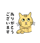 達観したねこ（敬語）（個別スタンプ：8）
