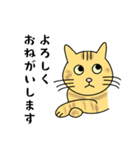 達観したねこ（敬語）（個別スタンプ：9）