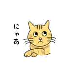 達観したねこ（敬語）（個別スタンプ：10）