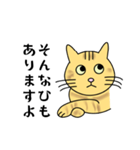 達観したねこ（敬語）（個別スタンプ：11）