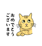 達観したねこ（敬語）（個別スタンプ：14）