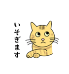 達観したねこ（敬語）（個別スタンプ：15）