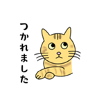 達観したねこ（敬語）（個別スタンプ：16）