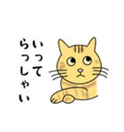 達観したねこ（敬語）（個別スタンプ：17）