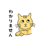 達観したねこ（敬語）（個別スタンプ：18）