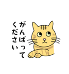 達観したねこ（敬語）（個別スタンプ：19）