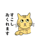達観したねこ（敬語）（個別スタンプ：21）