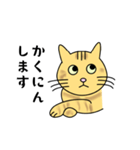 達観したねこ（敬語）（個別スタンプ：22）