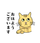 達観したねこ（敬語）（個別スタンプ：23）