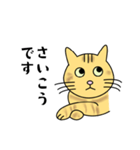 達観したねこ（敬語）（個別スタンプ：24）