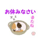 ちび三毛猫 毎日優しいスタンプ（個別スタンプ：4）