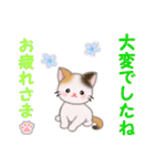 ちび三毛猫 毎日優しいスタンプ（個別スタンプ：8）