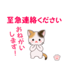 ちび三毛猫 毎日優しいスタンプ（個別スタンプ：33）