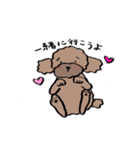 保護犬応援！トイプードルと遊ぼう（個別スタンプ：1）