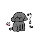 保護犬応援！トイプードルと遊ぼう（個別スタンプ：2）