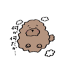 保護犬応援！トイプードルと遊ぼう（個別スタンプ：3）