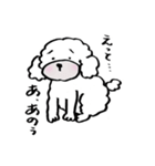 保護犬応援！トイプードルと遊ぼう（個別スタンプ：4）