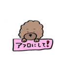 保護犬応援！トイプードルと遊ぼう（個別スタンプ：5）