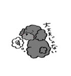 保護犬応援！トイプードルと遊ぼう（個別スタンプ：6）