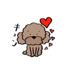 保護犬応援！トイプードルと遊ぼう（個別スタンプ：7）