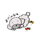 保護犬応援！トイプードルと遊ぼう（個別スタンプ：8）