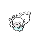 保護犬応援！トイプードルと遊ぼう（個別スタンプ：9）
